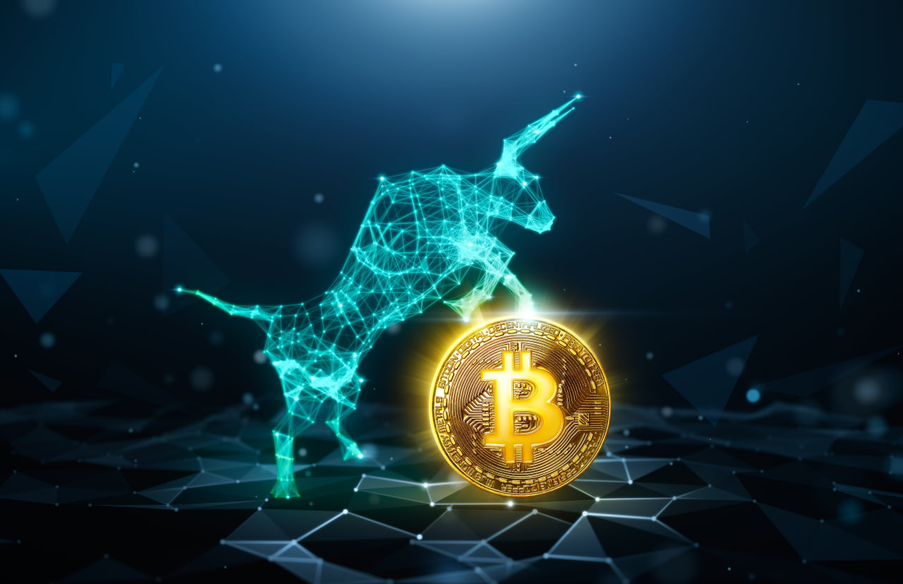 Чего ждать от биткоина (BTC) и альткоинов на следующем бычьем рынке